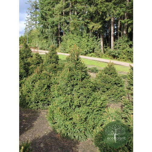 Фото товара  - вид 1