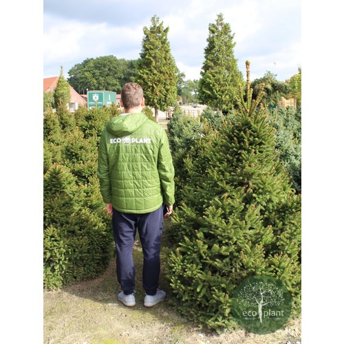 Фото товара  - вид 2