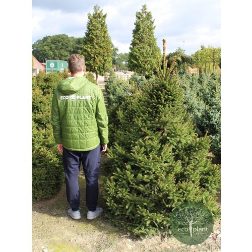 Фото товара  - вид 3