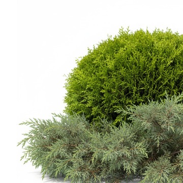 Хиты сезона