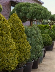 Хиты сезона