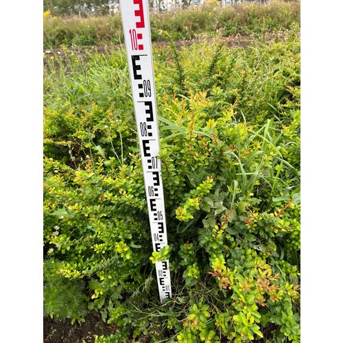 Фото товара Барбарис Тунберга - вид 9