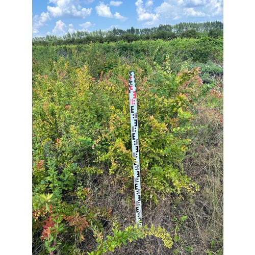 Фото товара Барбарис Тунберга Сильвер Бьюти  - вид 4