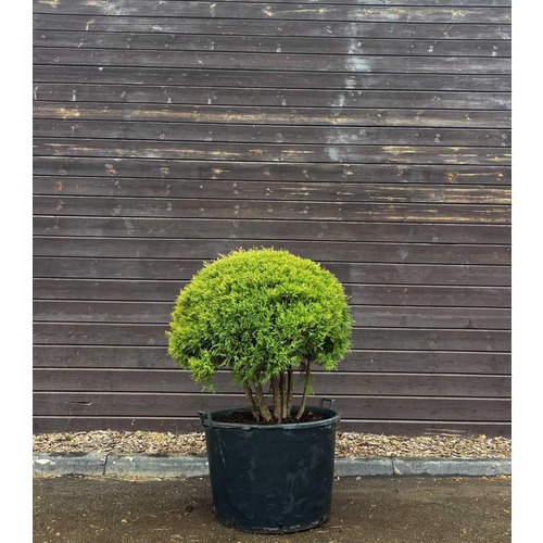 Фото товара  - вид 1