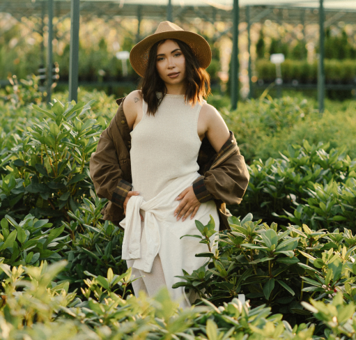 Растения и деревья напрямую из питомника