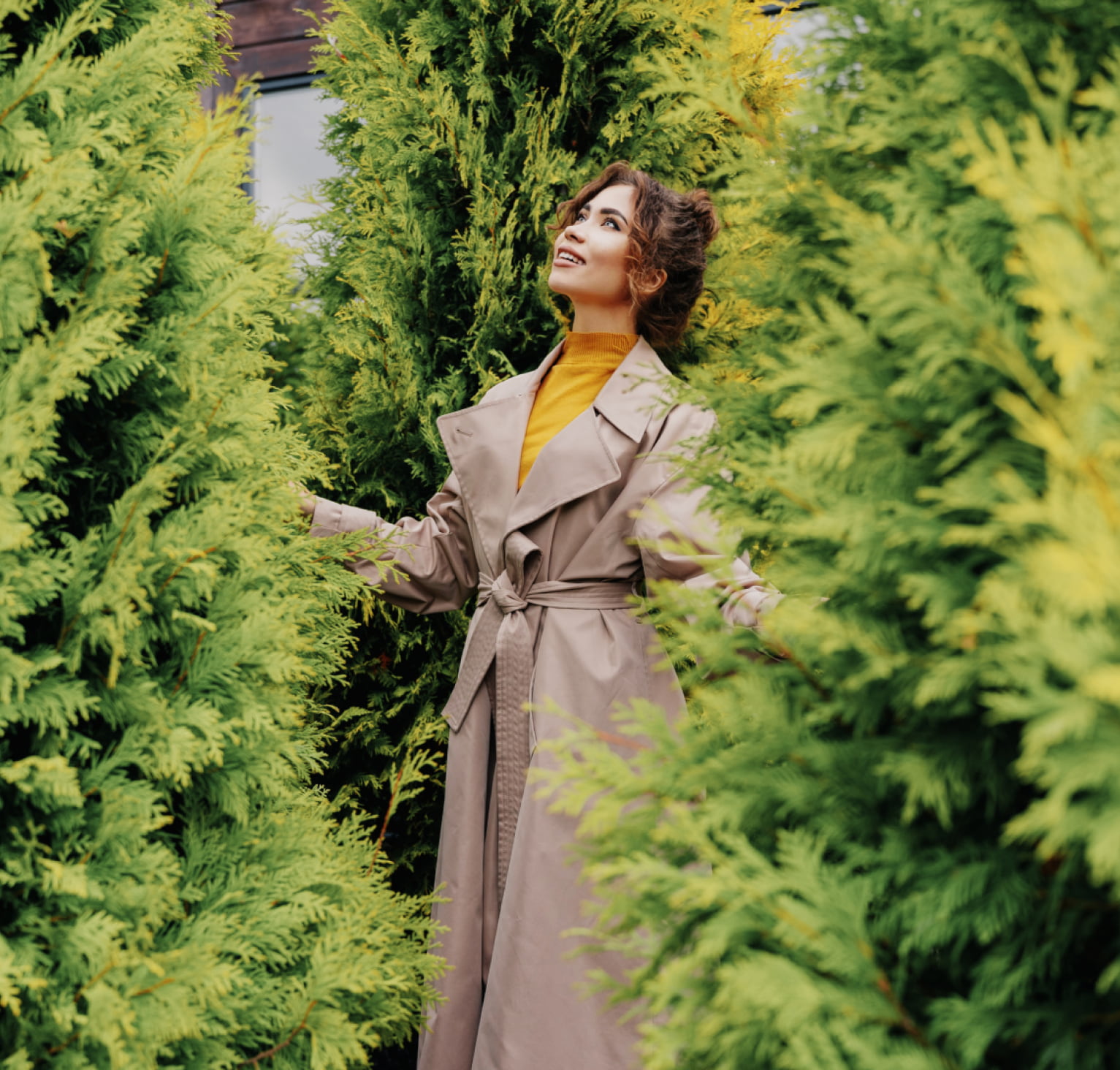 Растения и деревья напрямую из питомника