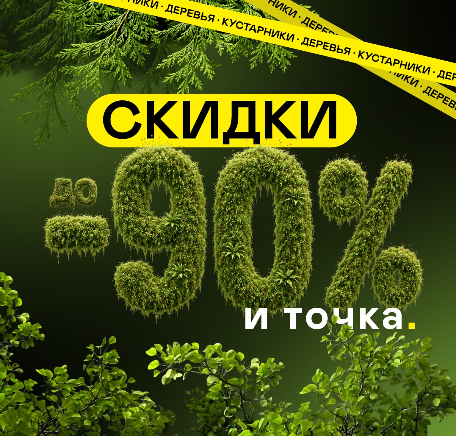 Растения и деревья напрямую из питомника